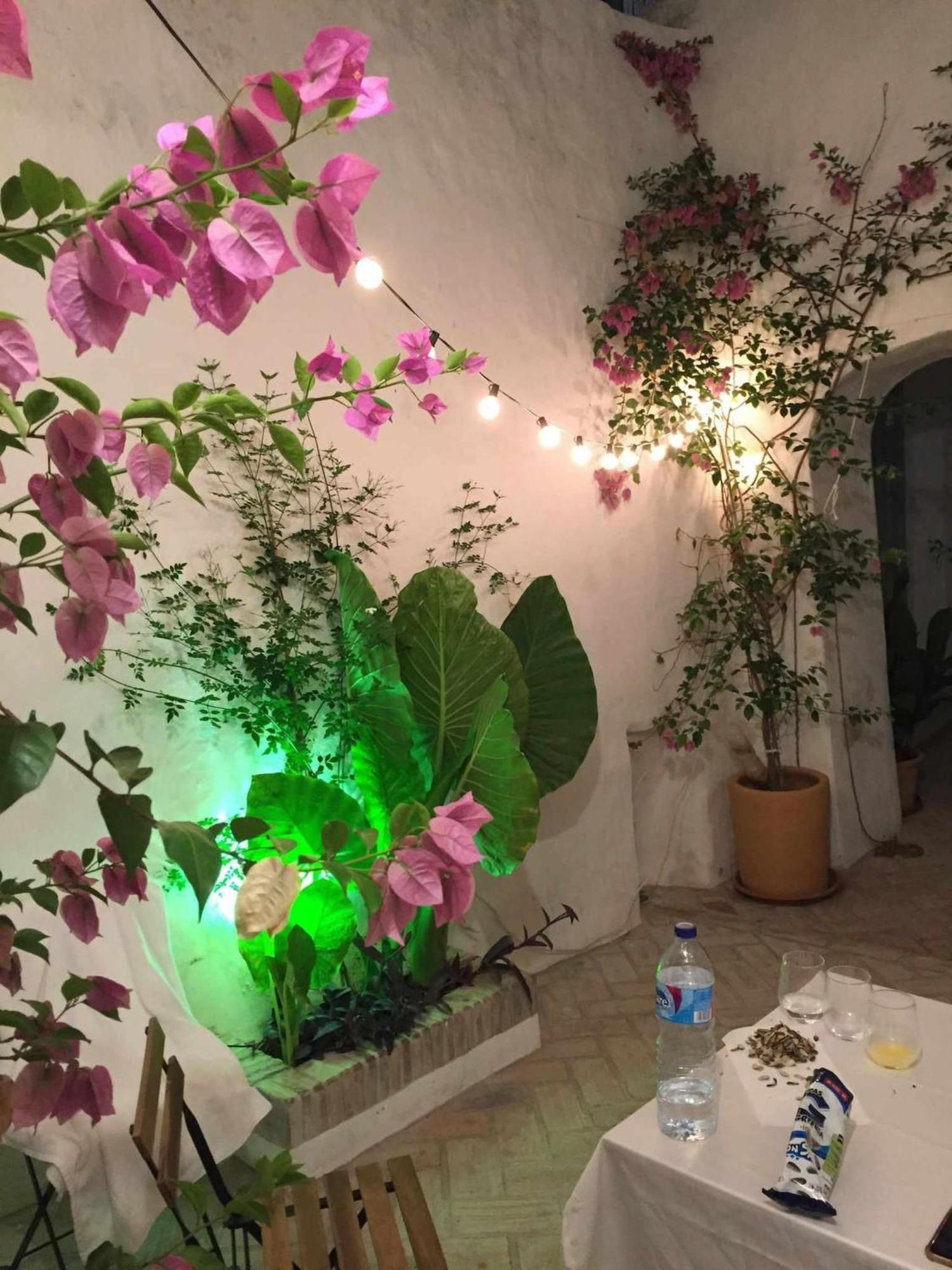 הוילה וחר דה לה פרונטרה Antiqua Centro De Vejer Con Wifi Grupo Ac Gestion מראה חיצוני תמונה